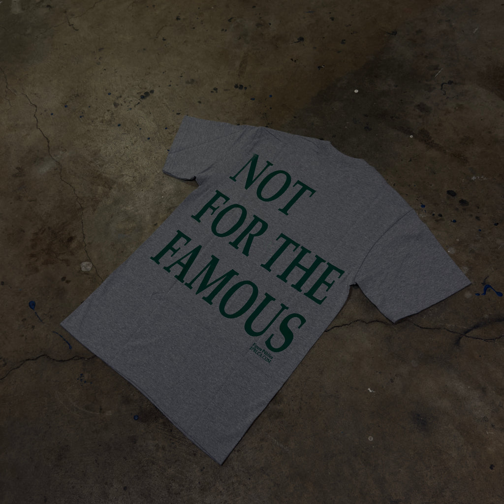 Figura Pública Not For The Famous Tee