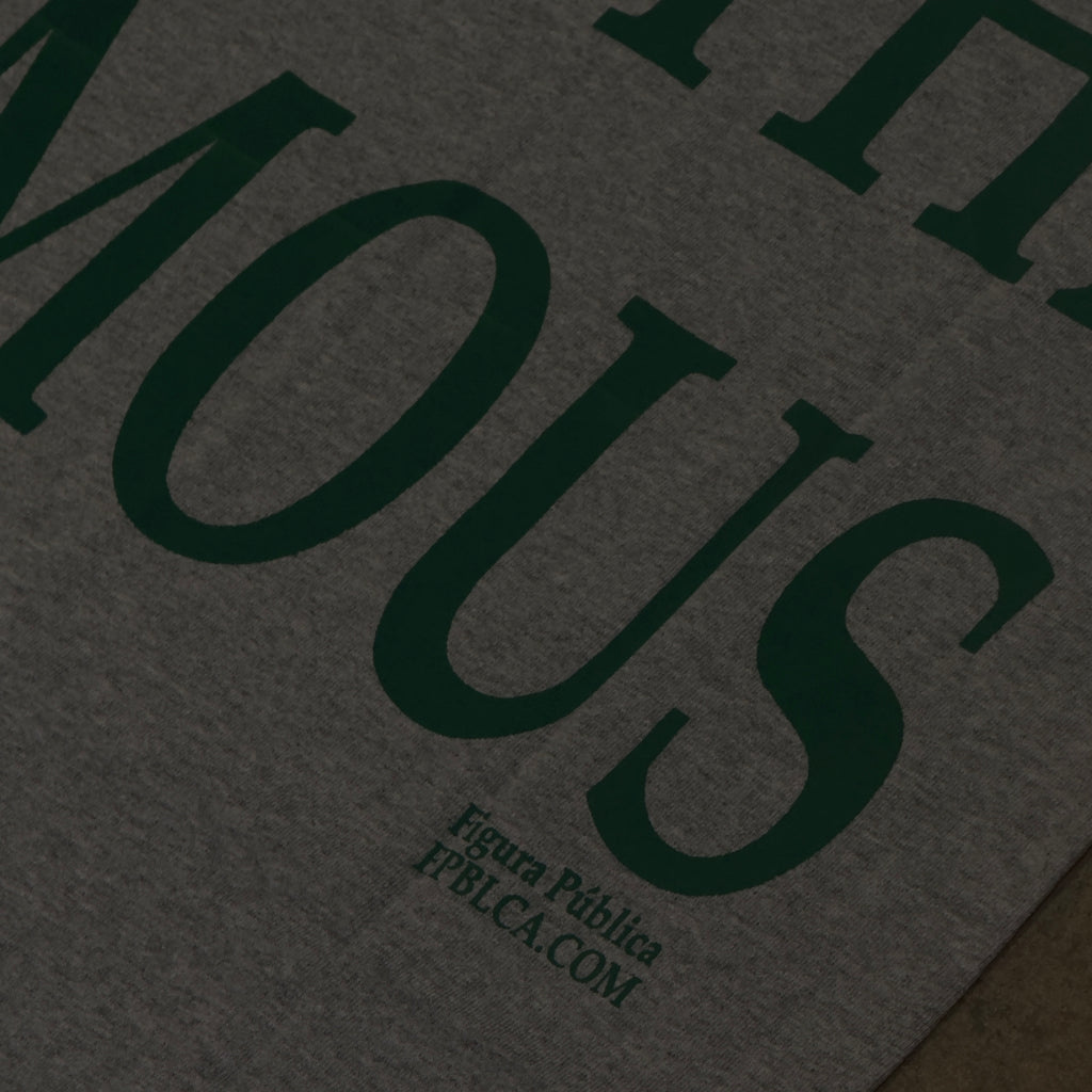 Figura Pública Not For The Famous Tee