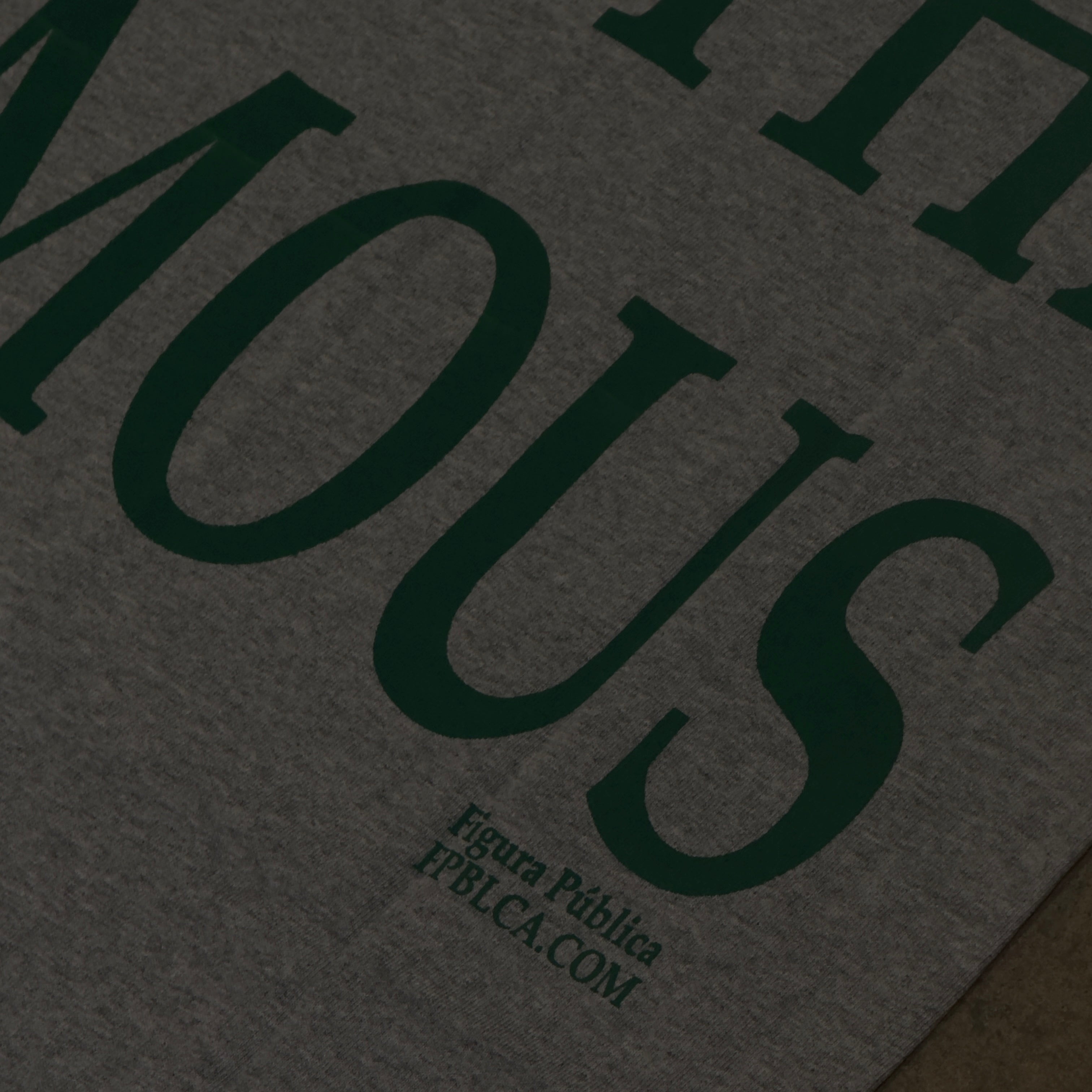 Figura Pública Not For The Famous Tee